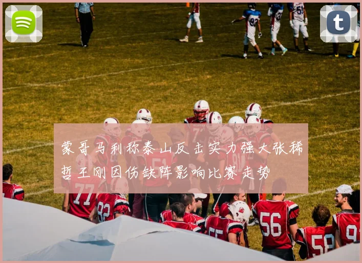 蒙哥马利称泰山反击实力强大张稀哲王刚因伤缺阵影响比赛走势